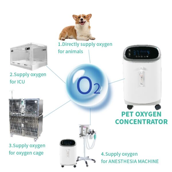 V-Y501W Pet Healthcare Oxygen Concentrator