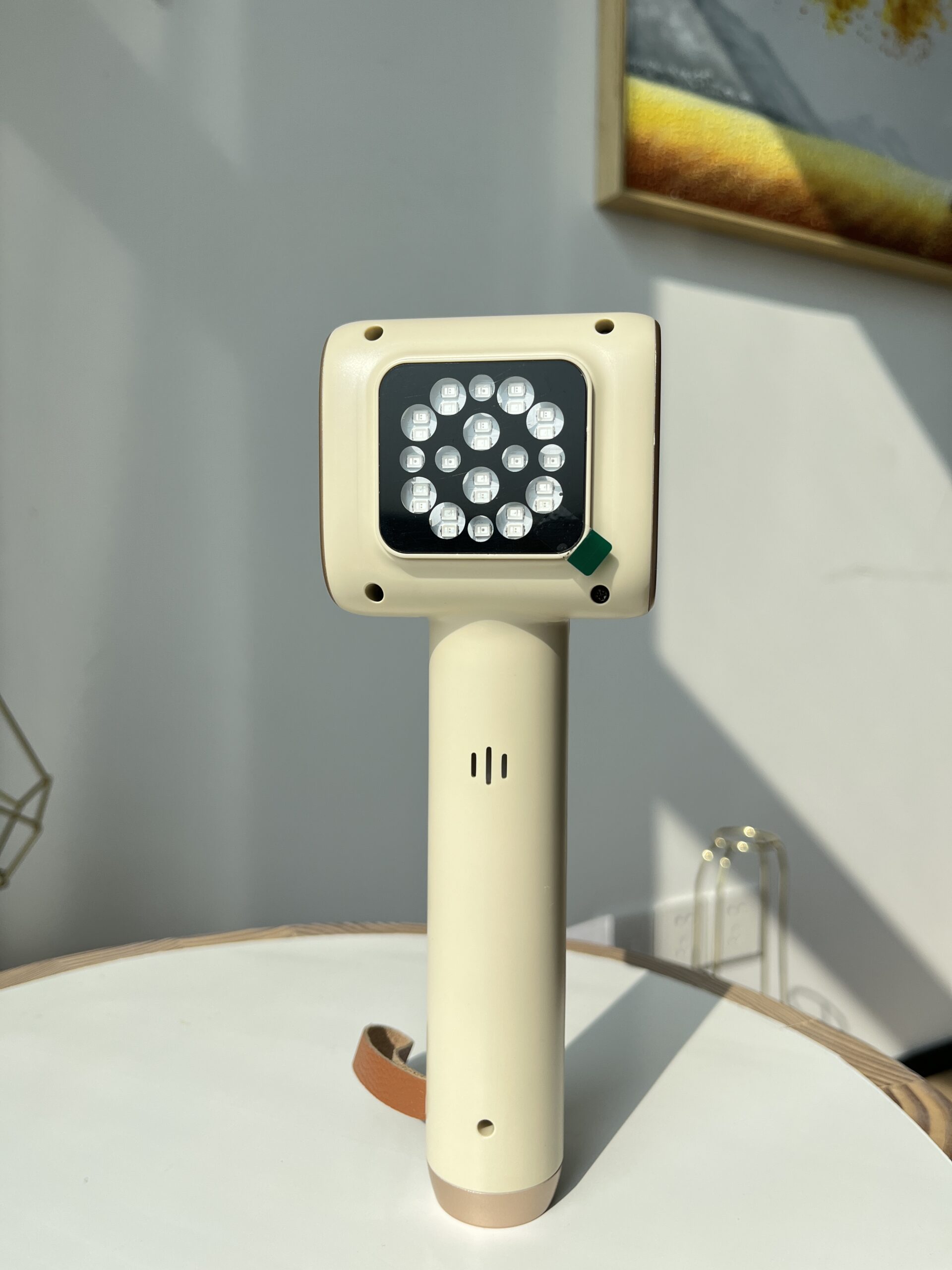 Veterinary LED Laser Therapy Device